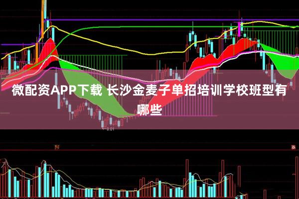微配资APP下载 长沙金麦子单招培训学校班型有哪些